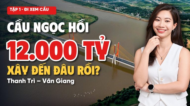 Ảnh bìa tiến độ cầu Ngọc Hồi nối Thanh Trì với Văn Giang, Dương Hoa